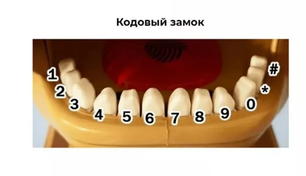 5229241946_sejf-kopilka-sobaka-kusaka.png