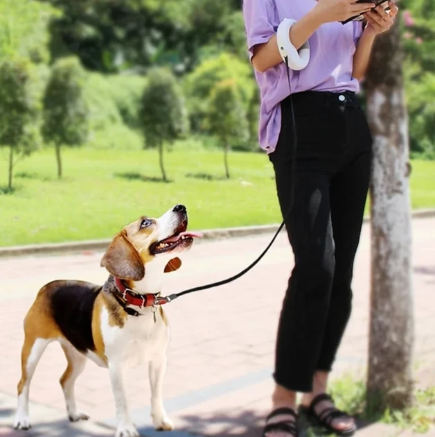 6244832543_povodok-ruletka-x-10-s.webp 6244832543_povodok-ruletka-x-10-s.webp