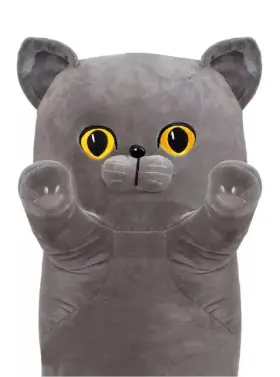 6421165966_myaka-igrashka-kit.png