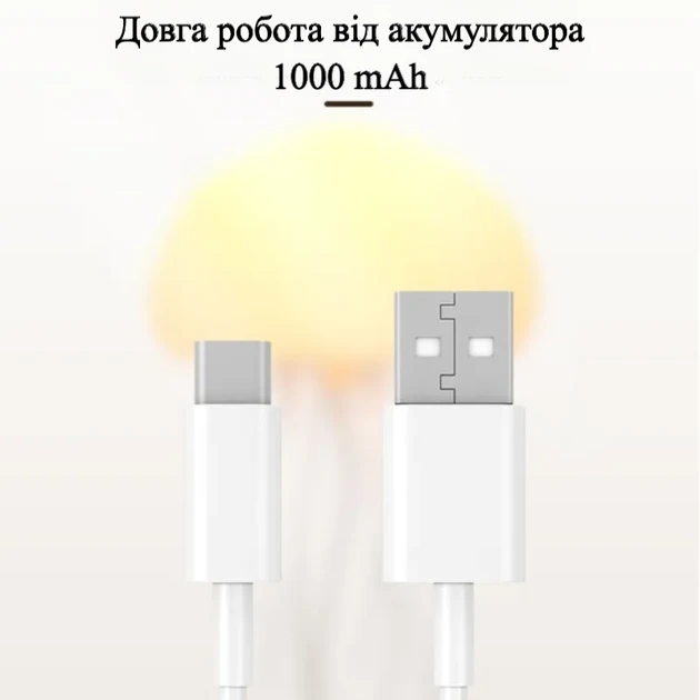 6485612048_nichnik-3d-lampa.webp
