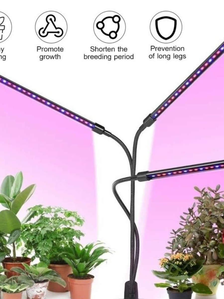5978885629_ultrafioletovaya-lampa-dlya.png 5978885629_ultrafioletovaya-lampa-dlya.png