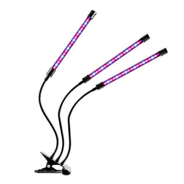 5978885630_ultrafioletovaya-lampa-dlya.webp 5978885630_ultrafioletovaya-lampa-dlya.webp