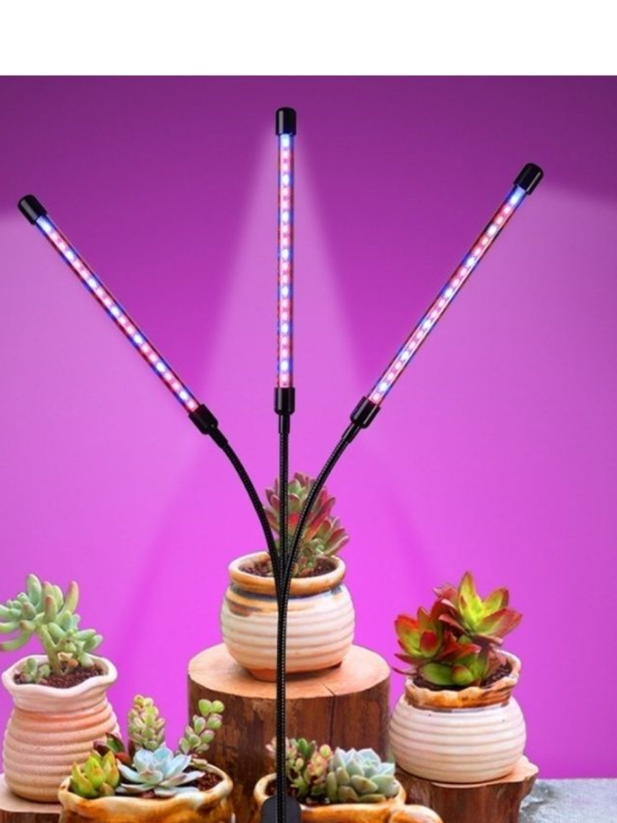 5978885632_ultrafioletovaya-lampa-dlya.png 5978885632_ultrafioletovaya-lampa-dlya.png