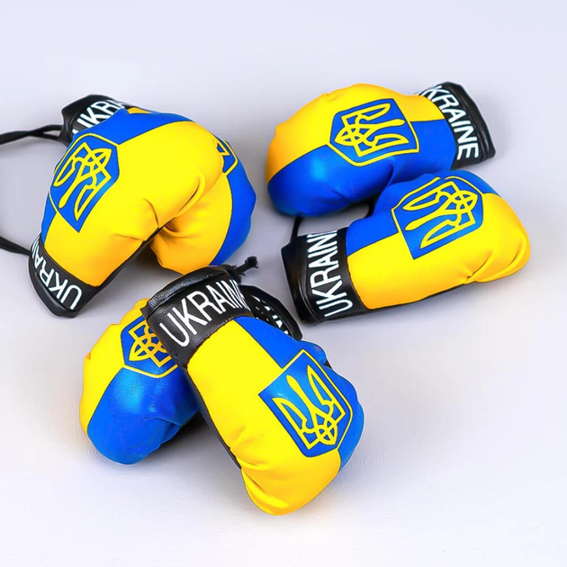 6724039933_pidviska-dlya-avto.png